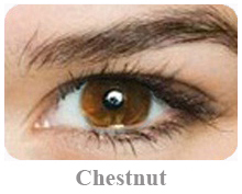 Lentile de contact Acuvue 2 Colours Opac, culoare Chestnut